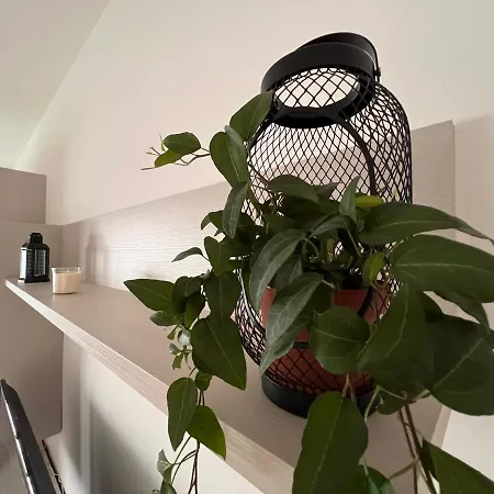 Shelby House Apartamento