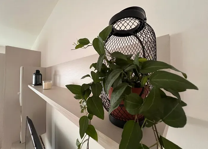 Shelby House Apartment