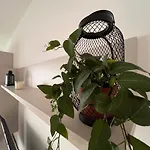 Shelby House Appartement